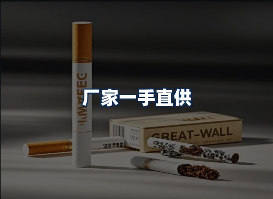 专业团队办公环境